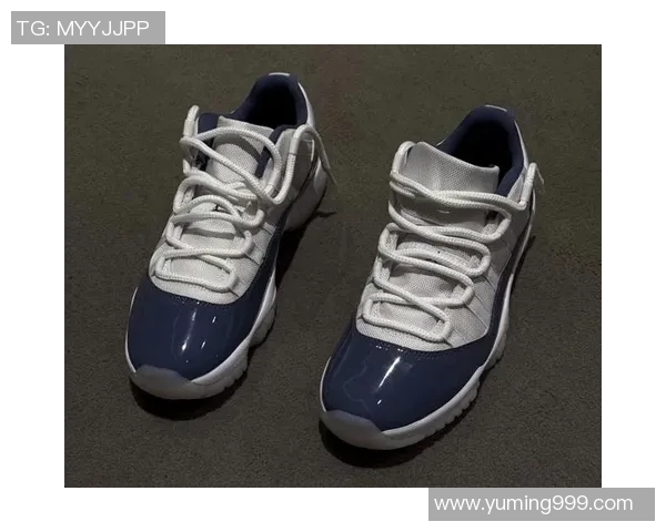 aj11篮球明星的传奇之路与球场风采全面解析
